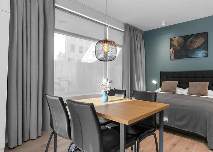Charming Studio In Reykajvik